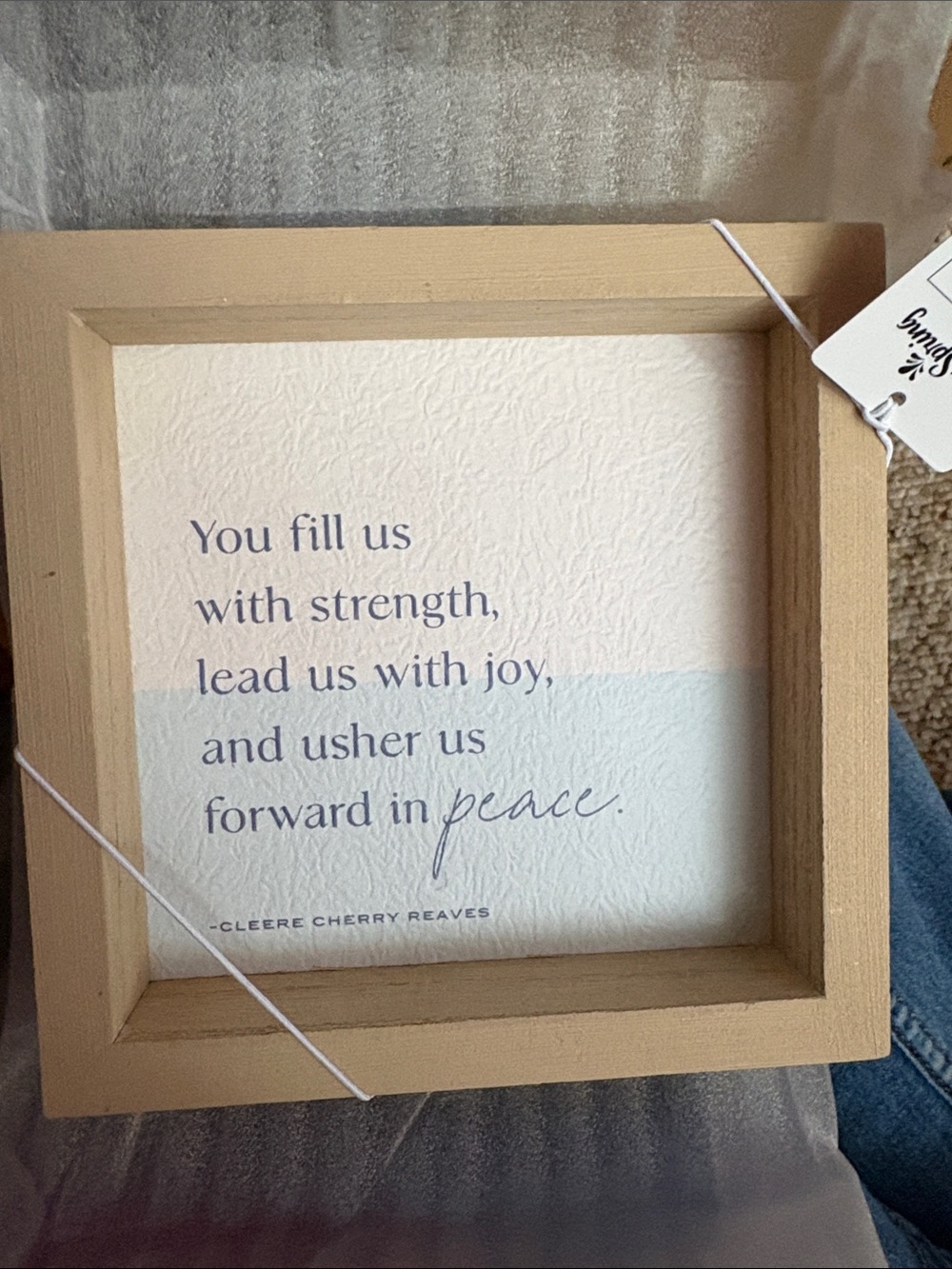 Framed Inspirational Quote Wall Art in Light Blue and Cream